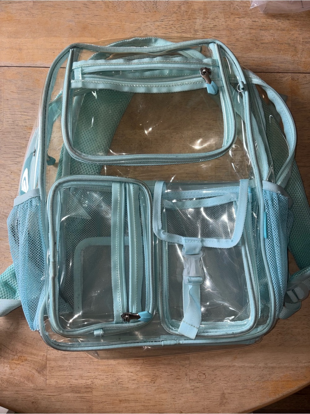 Clear Light Blue Multi-Pocket Backpack by